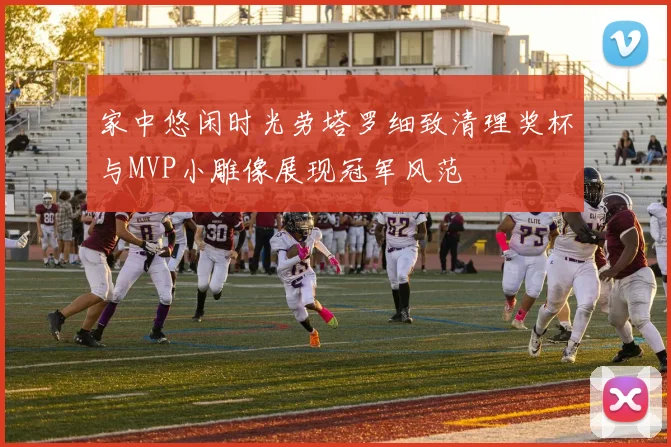 家中悠闲时光劳塔罗细致清理奖杯与MVP小雕像展现冠军风范