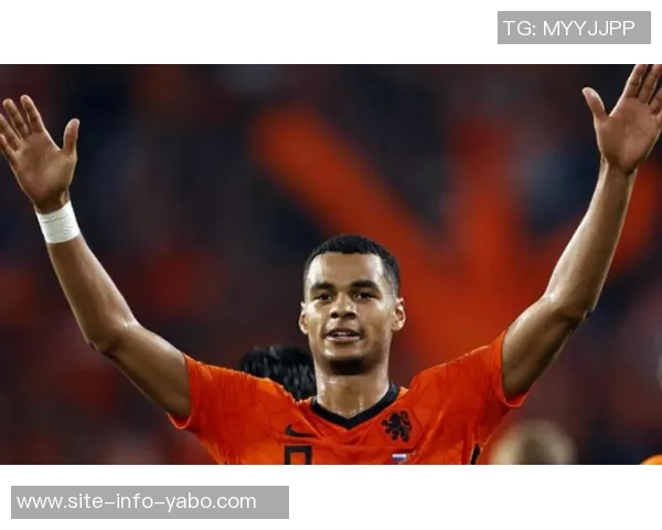 维拉队财政紧张冬窗将重点引进新前锋以增强攻击力 维拉队财政紧张冬窗将重点引进新前锋以增强攻击力